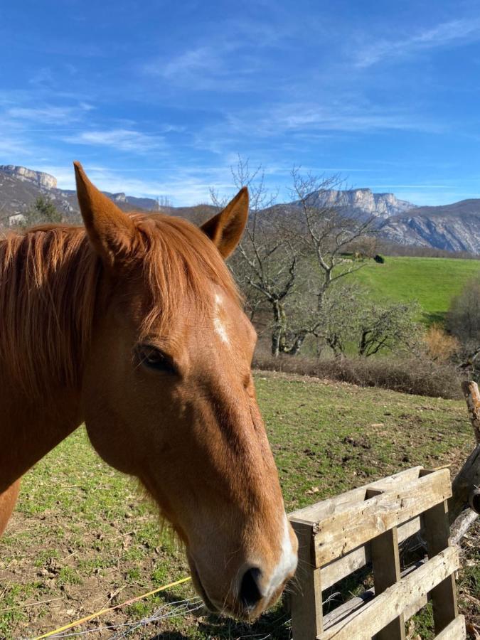 Le Perchoir Du Vercors - Panorama Sur Les Cimes Saint-André-en-Royans Esterno foto